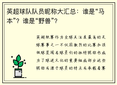 英超球队队员昵称大汇总：谁是“马本”？谁是“野兽”？