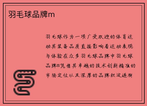 羽毛球品牌m